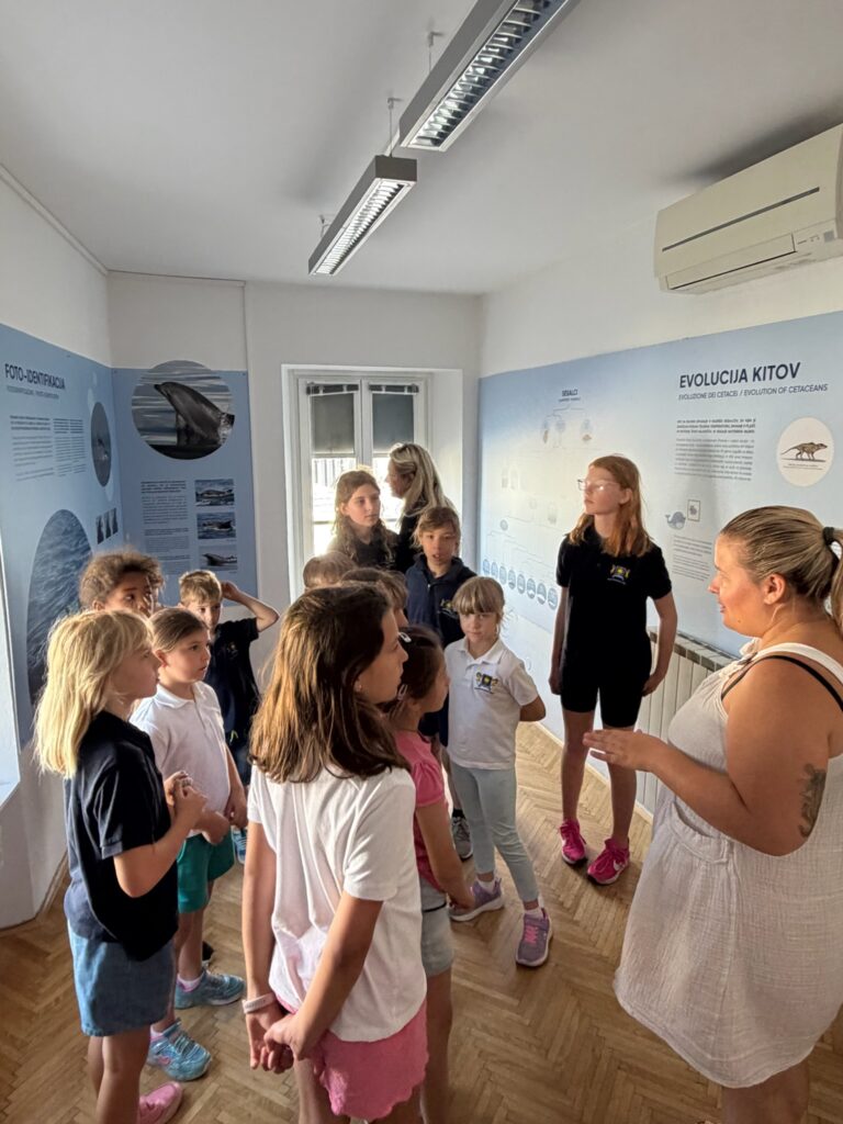 Koper International School5 Koper International School5