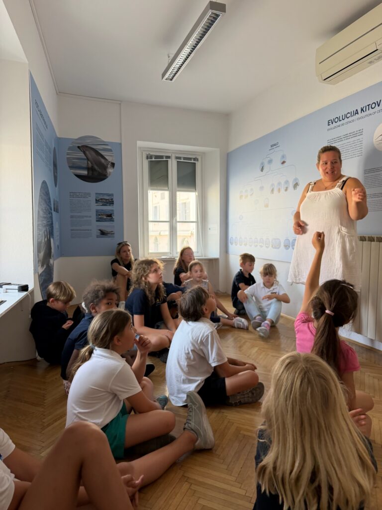 Koper International School9 Koper International School9